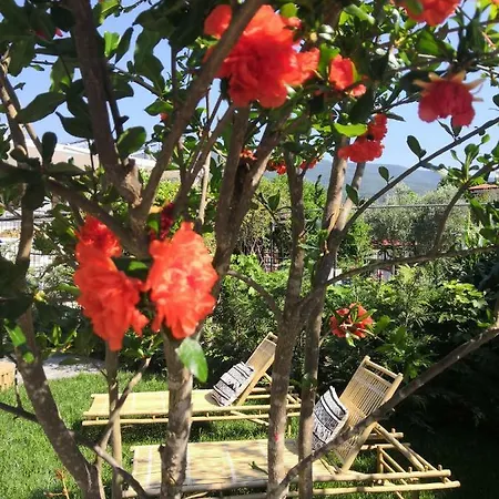The Yellow House W/private Garden And Bbq Villa